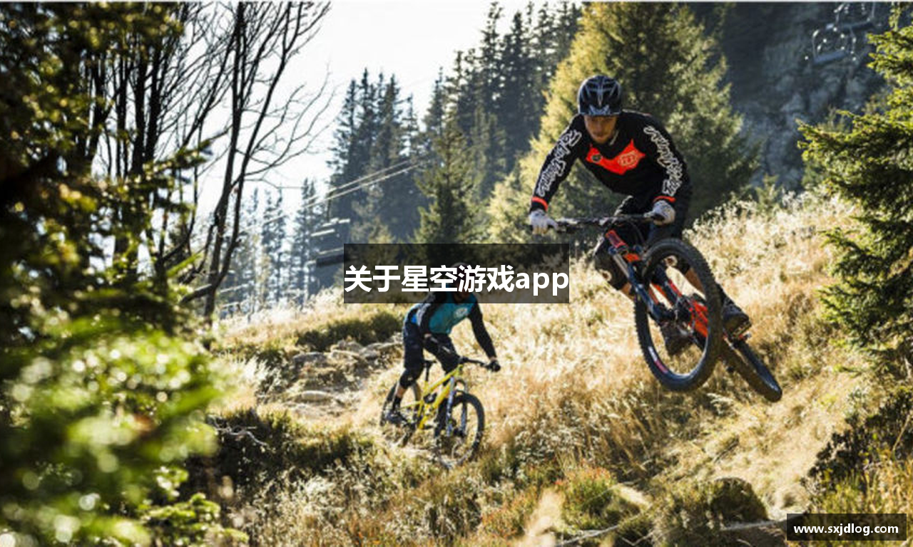 关于星空游戏app